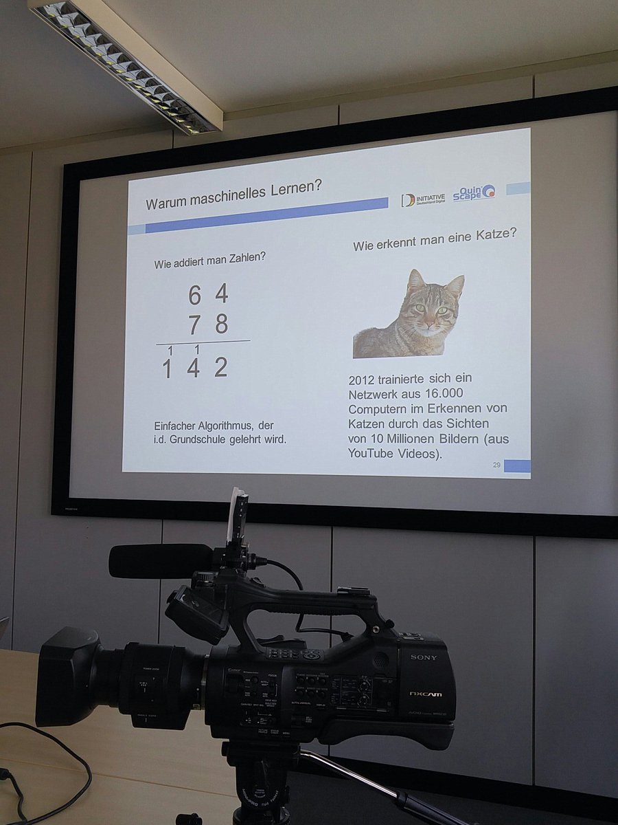 derschoeneali's tweet photo. Videodreh bei @quinscape wo Katzen die Maschine heraus fordert
#machinelearning #Digitalisierung #videocontent #zoomm @DeutschlandDigi https://t.co/yAD5jlSpv0