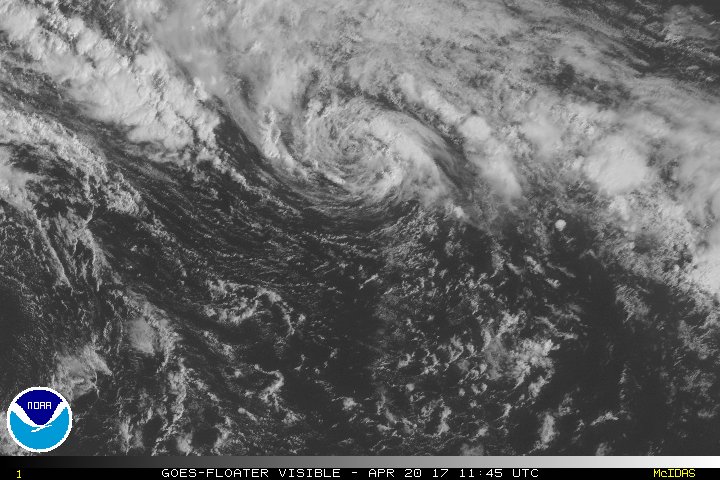 SheaGibsonWx's tweet photo. Subtropical Depression ONE still going. Winds ~35mph. Estimated pressure 996mb. Movement N at 14mph. Expected to turn NW in time. #STD1 https://t.co/9UQJ29jy28