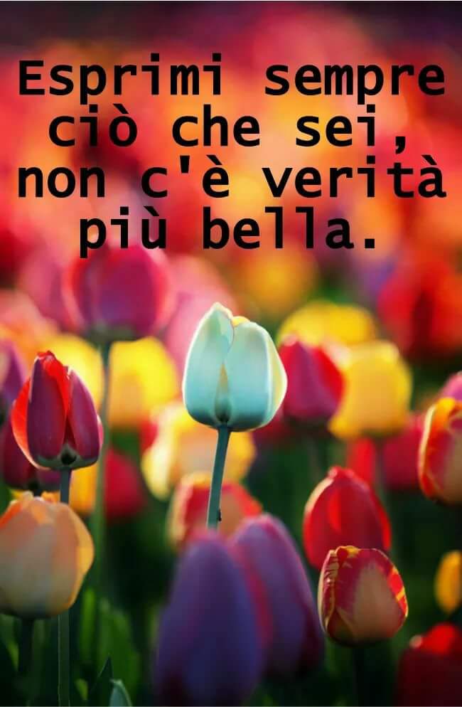 vmarini686's tweet photo. 😉 https://t.co/uZZw6eHXO9