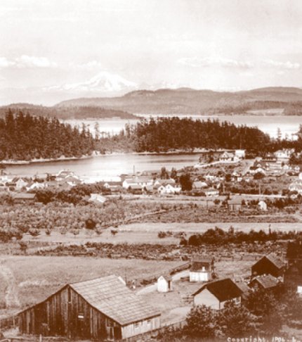 Port Friday Harbor tweet media