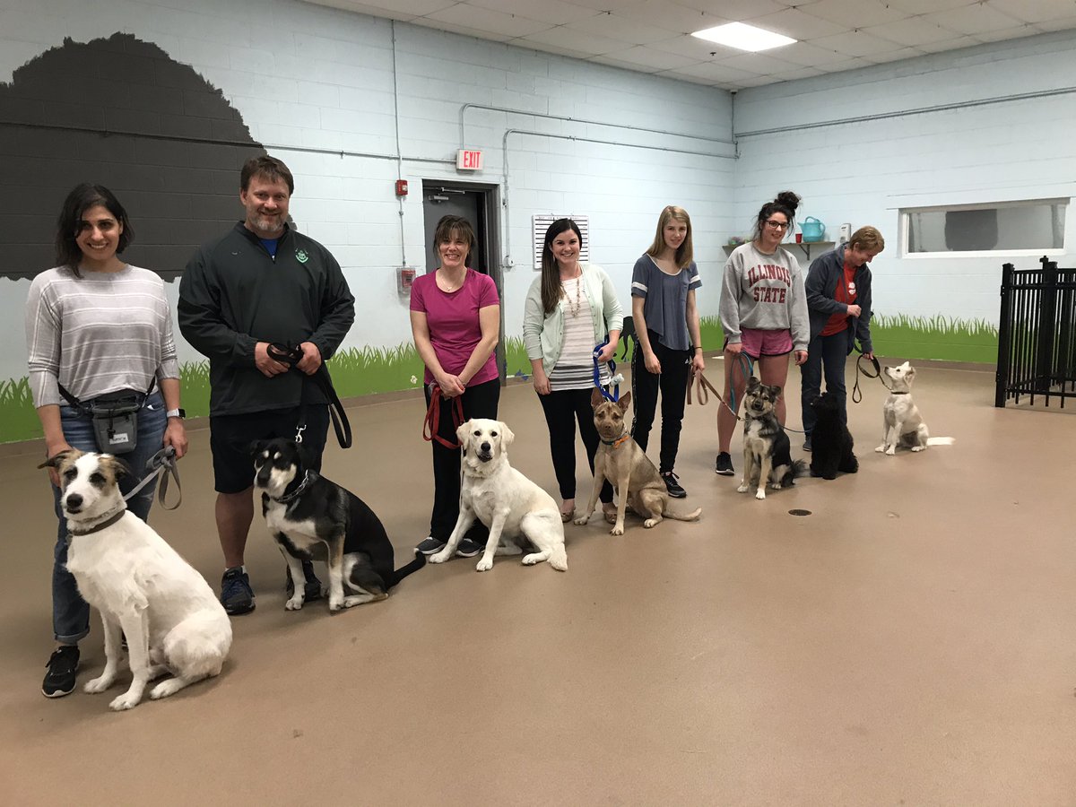 Stays, Recalls &amp; Distractions Intermediate Obedience Class!