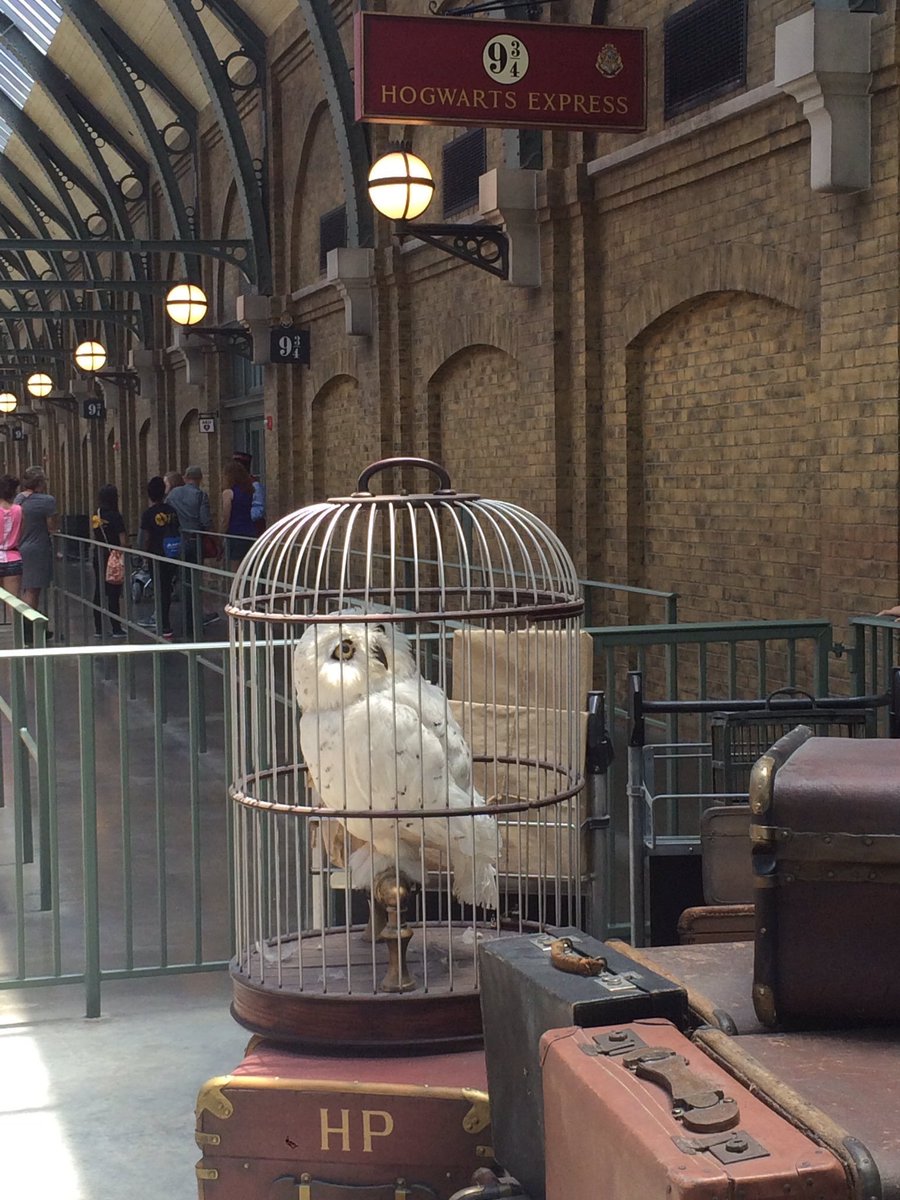 mssmalfoy's tweet image. Это просто потрясающе😍❤️ и не говорите,что не хотели бы туда

 #ФайнисФолловитКаждого