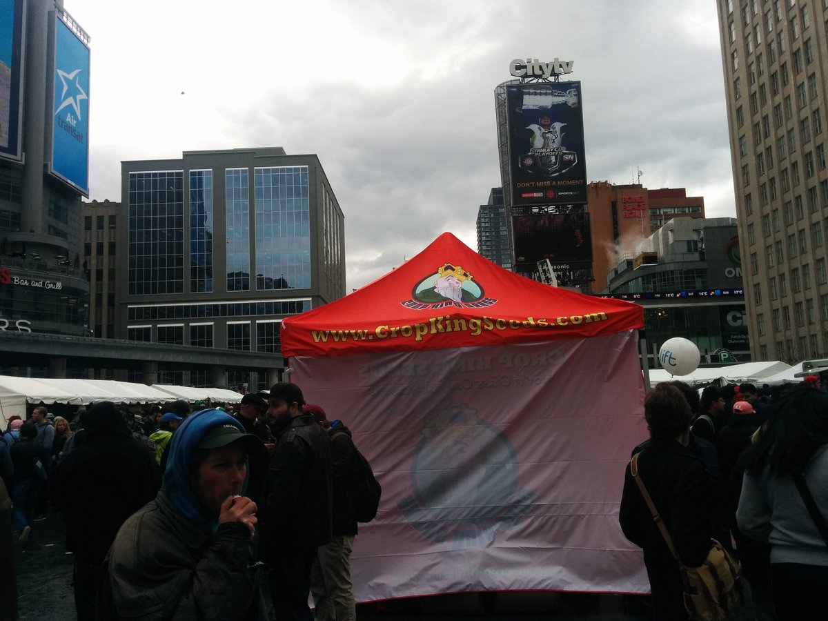 kazahann's tweet photo. #420toronto2017 today at Dundas Square - a massive gathering of white hipsters https://t.co/gcPOQQHLAe