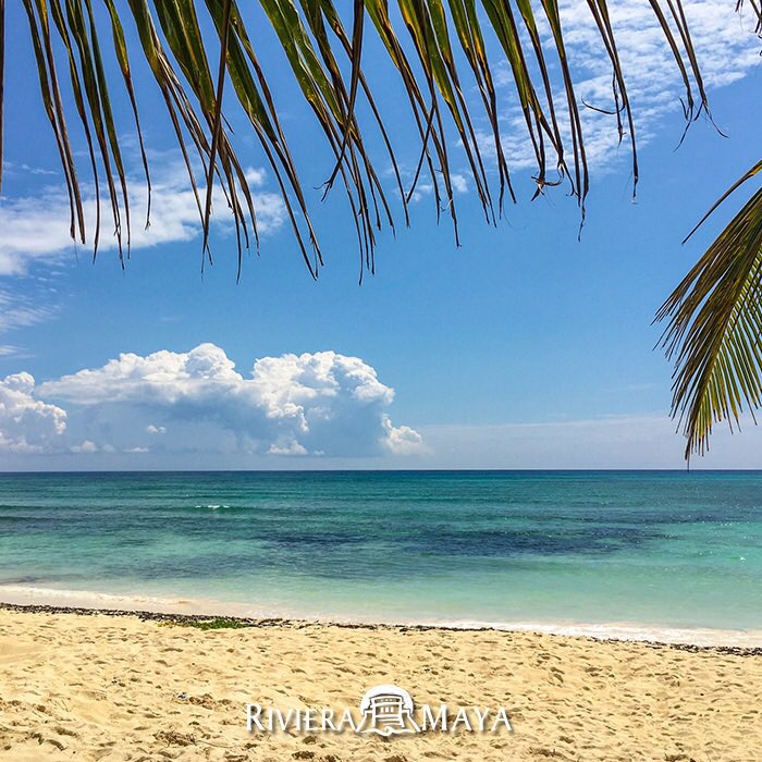 EsMexico's tweet photo. #DesdeMéxicoTeInvito a que conozcas lo hermoso que es el Caribe mexicano. #AmoLaRivieraMaya  Vía #RivieraMaya | #EsMexico #Travel https://t.co/CVInb3WHgx