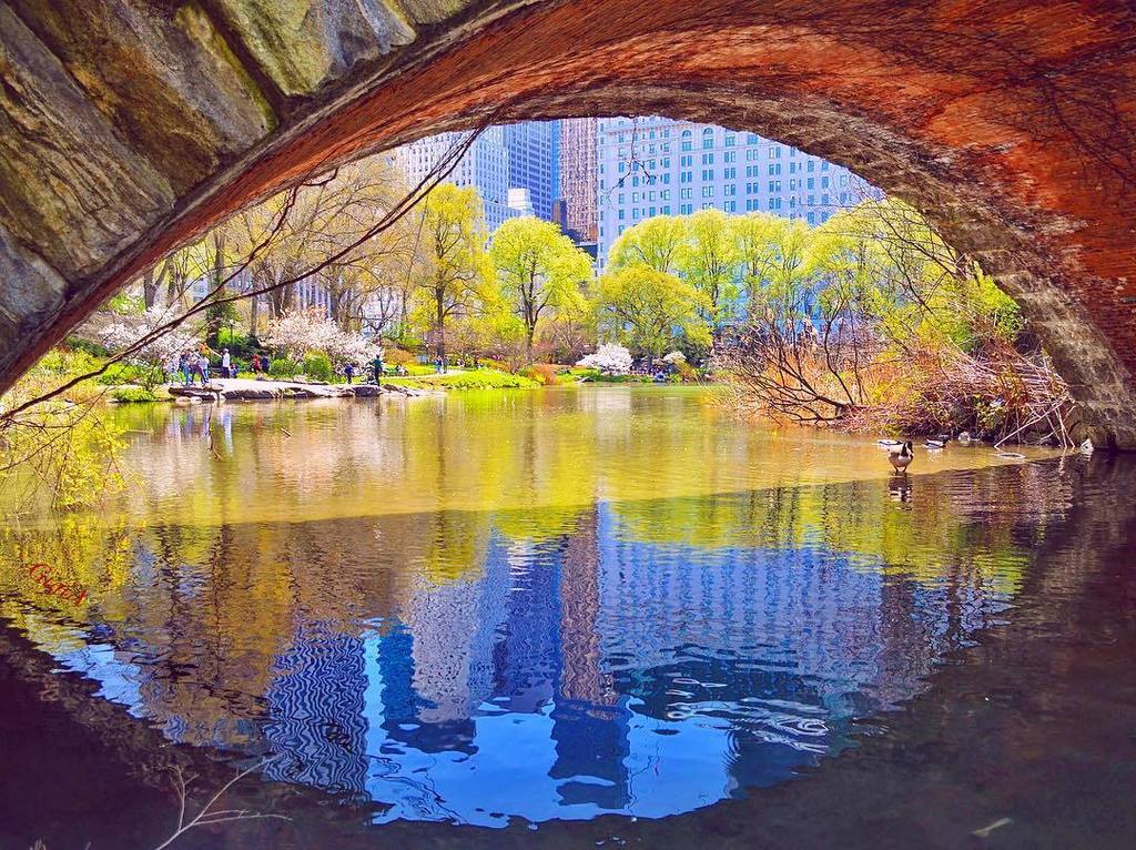 Dorado Tacos NYC (DoradoNYC) Twitter
