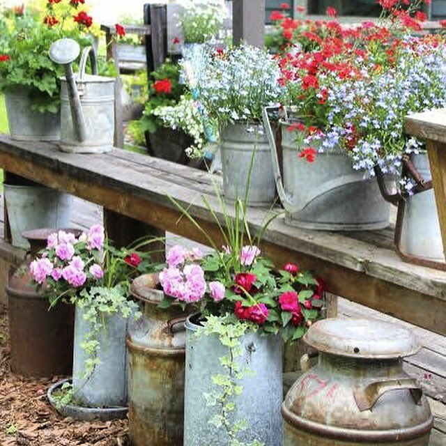 UniversalXmas's tweet photo. UCTIP 076 // Colorful Corner 🌾🌷🌹🌸💐💐🌸🌼🌾

➡️https://t.co/dUtYnkHXnh https://t.co/7VYhdT8uf5