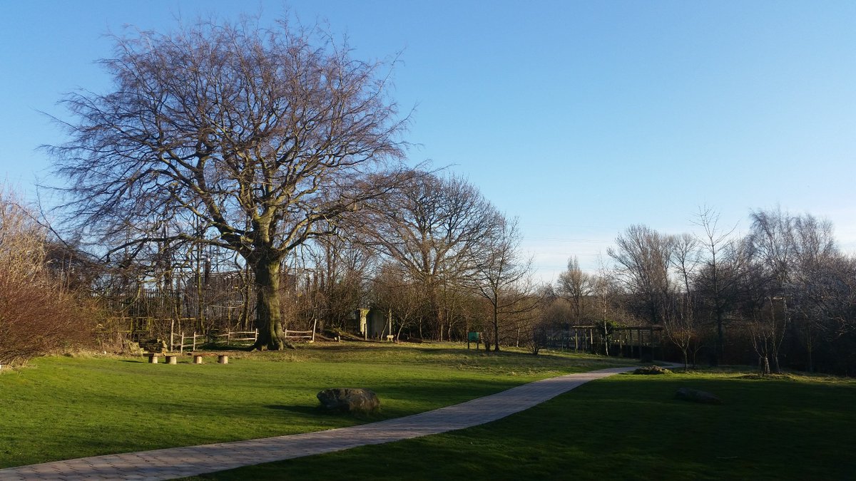SkeltonGrange's tweet photo. Skelton Spring Festival tomorrow! Come for tree grafting, whittling, mushroom logs, wax wildflowers &amp; more! 10am-3pm https://t.co/t0GgMeI0Kg https://t.co/iR9ePmcCHz