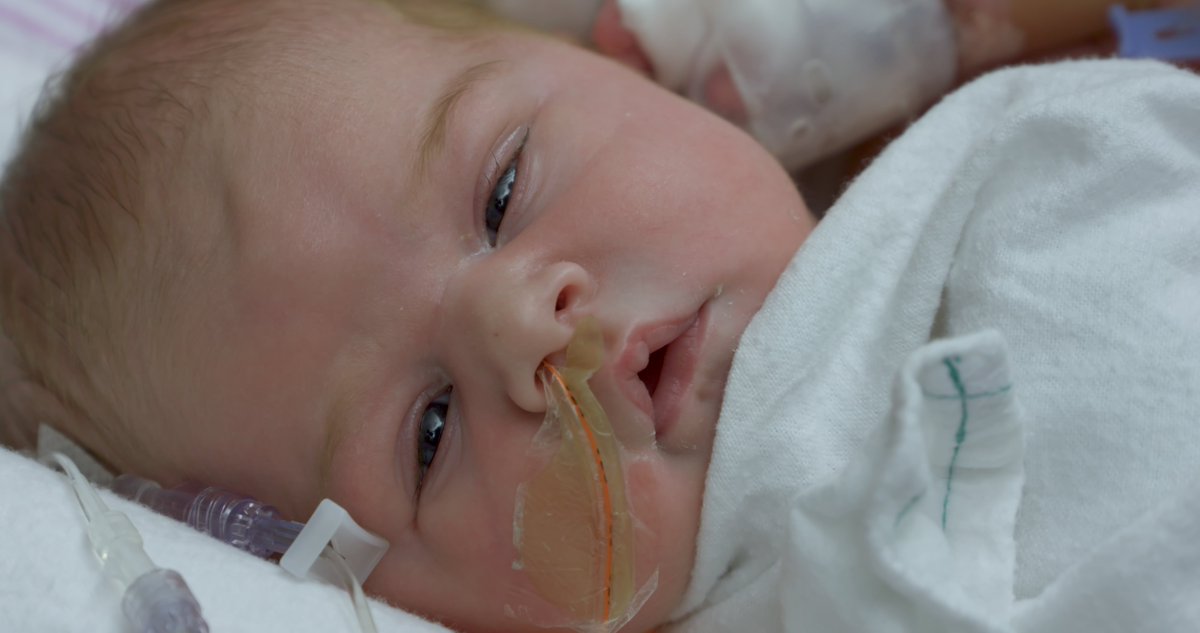 Find out how donor recipients featured in our films are doing today on THE TRANSPLANT PROJECT'S YOUTUBE CHANNEL - ow.ly/CVbv30aROdp