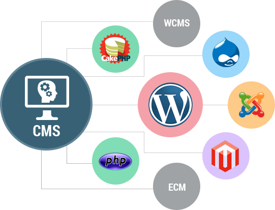 techfurythepage's tweet photo. Kinds of web design and development services
https://t.co/bEMlAzNXH6
#Webdesign #webdevelopment #cmswebdesign #cmswebsite https://t.co/EXp0x5pmff