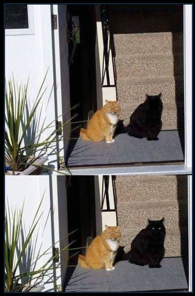 Cuando la sombra cobra vida...