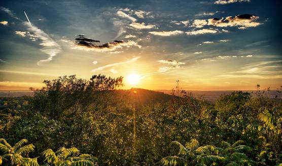 🌳Le #MontRoyal à l'<a href="/UNESCO/">UNESCO 🏛️ #Education #Sciences #Culture 🇺🇳</a>🌳 6 jours pour agir et atteindre le chiffre magique des 30000 signatures ► goo.gl/NpMVJ1 #MtlMoments