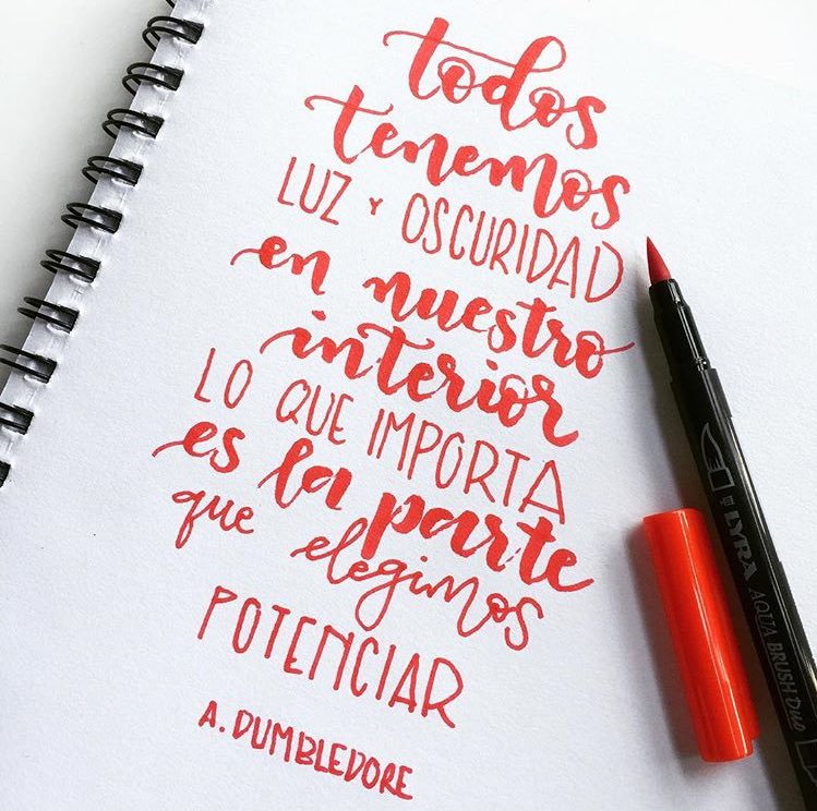davidmoreno's tweet photo. Qué sabio era Albus!! 💡

(Imagen de @Bertorulez) https://t.co/9zujookLJc