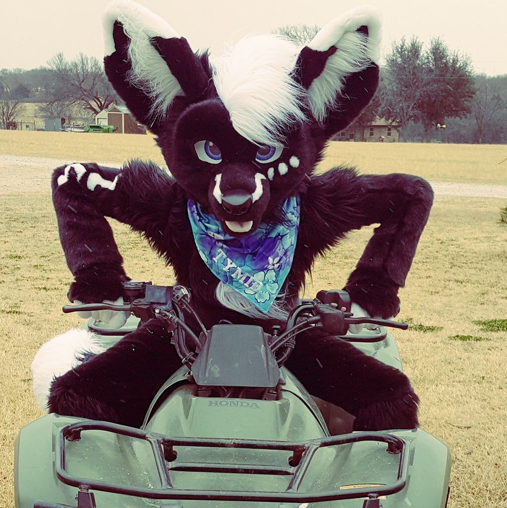 fursuitcrushes tweet picture