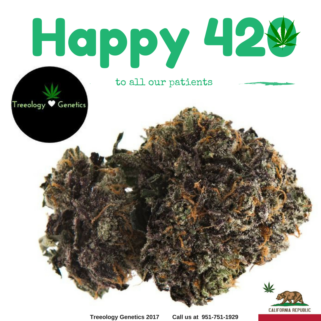 TreeologyGen's tweet photo. Happy #420 to all our patients! #treeologygenetics https://t.co/MRqu1U2elp