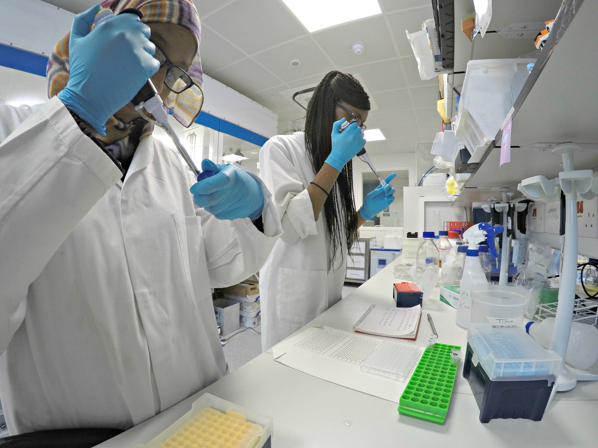 in2scienceUK's tweet photo. Any Year 12 students interested in finding STEM summer work experience? 🔬🔭APPLY NOW! https://t.co/kFGenAC9PW https://t.co/b5IkIT95m6