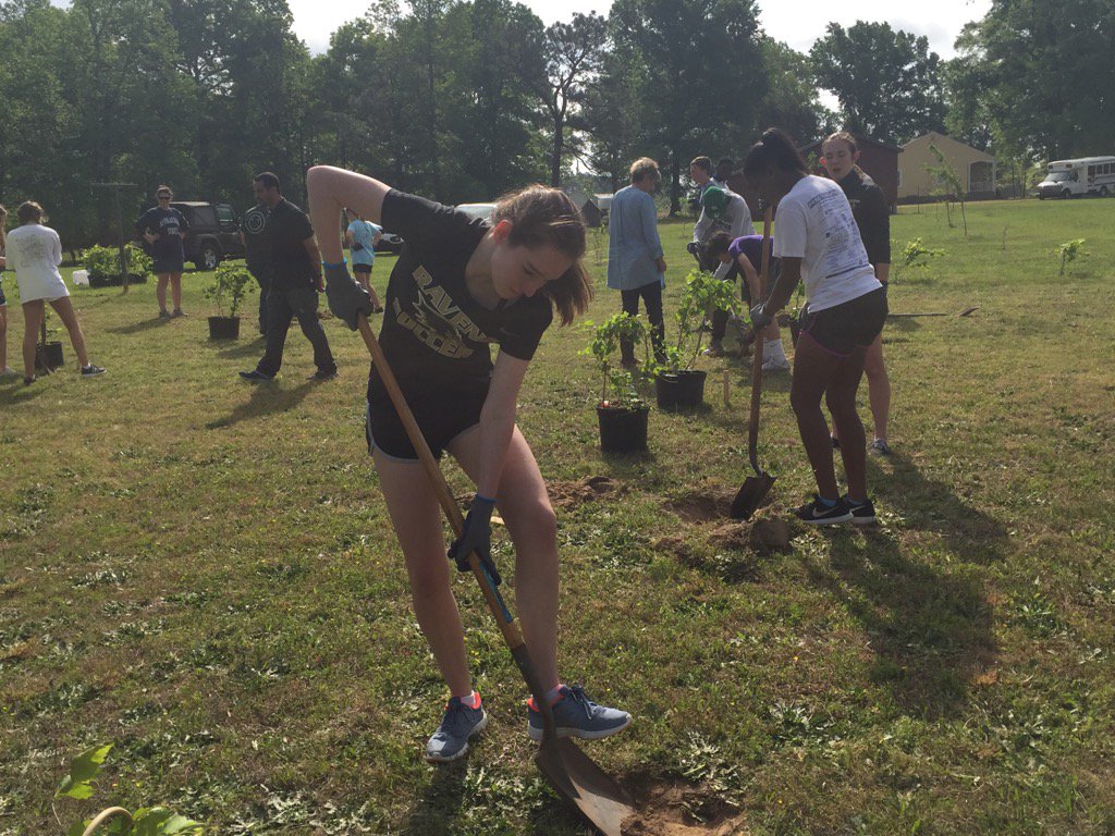 zmwelsh's tweet photo. Getting to work planting for House of Joy #leadfromhere @RavenscroftNC https://t.co/aDcJeZ2bs0