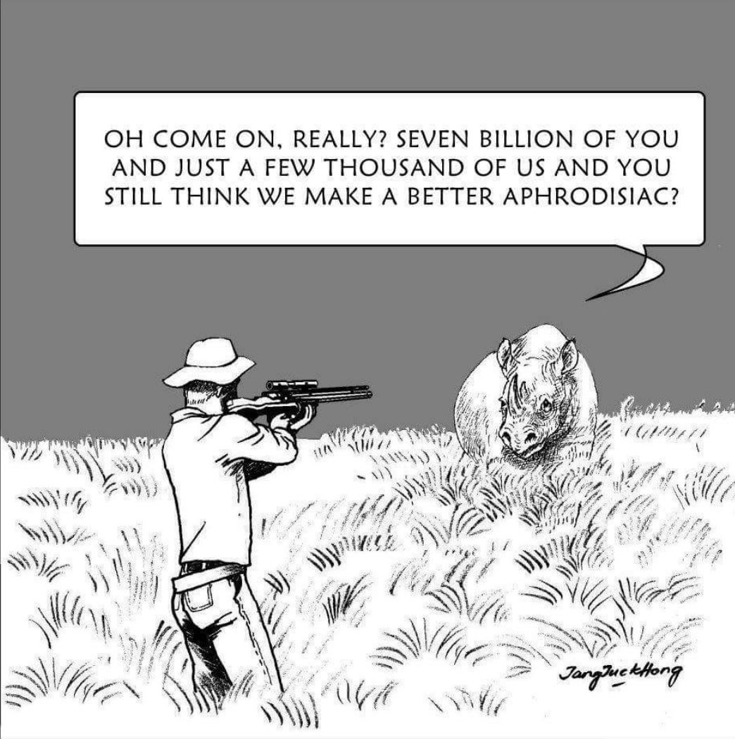 StopKillingAnimals tweet media