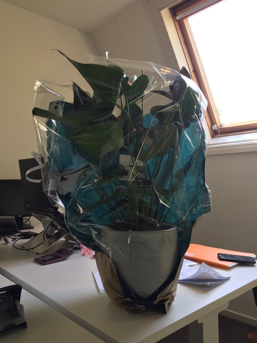 Mijn werkgever @Seinstra_vdLaar heeft er vandaag aan gedacht #Secretaressedag
