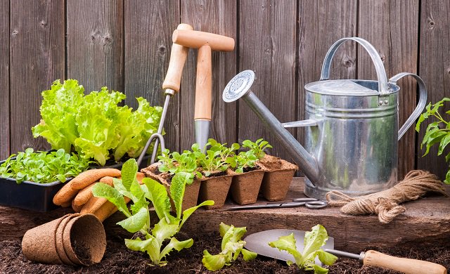 Jardinage : #BONPLAN pour entretenir votre jardin sans se ruiner avec <a href="/Zilok/">Zilok</a> ! Pas la main verte ? @YoupiJob
goo.gl/T7DGDW