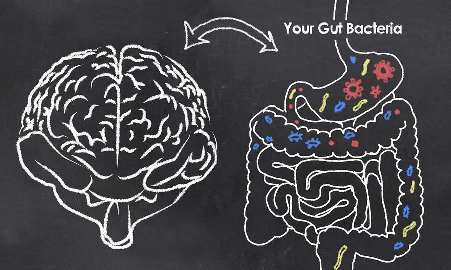 Probulin's tweet photo. 80 to 90 percent of your serotonin is made in the gut, and every class of brain neurotransmitter has been found in the gut. #guttruth https://t.co/ZaPwxREFQU