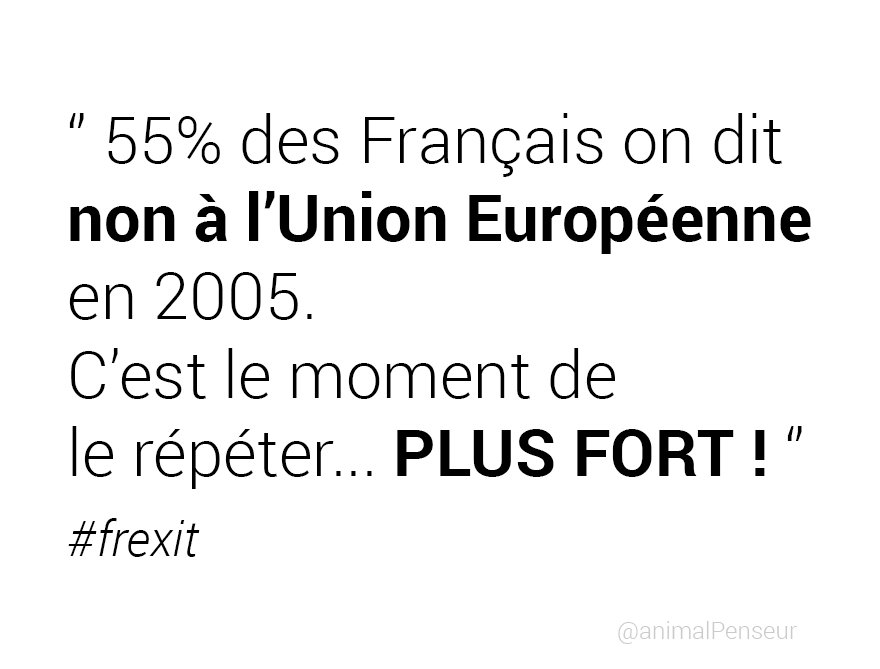 AnimalPenseur's tweet photo. 55% des Français on dit NON à l' #UE en 2005. C'est le moment de le répéter, PLUS FORT ! @UPR_Asselineau  #Frexit https://t.co/ALVTHEyDsw