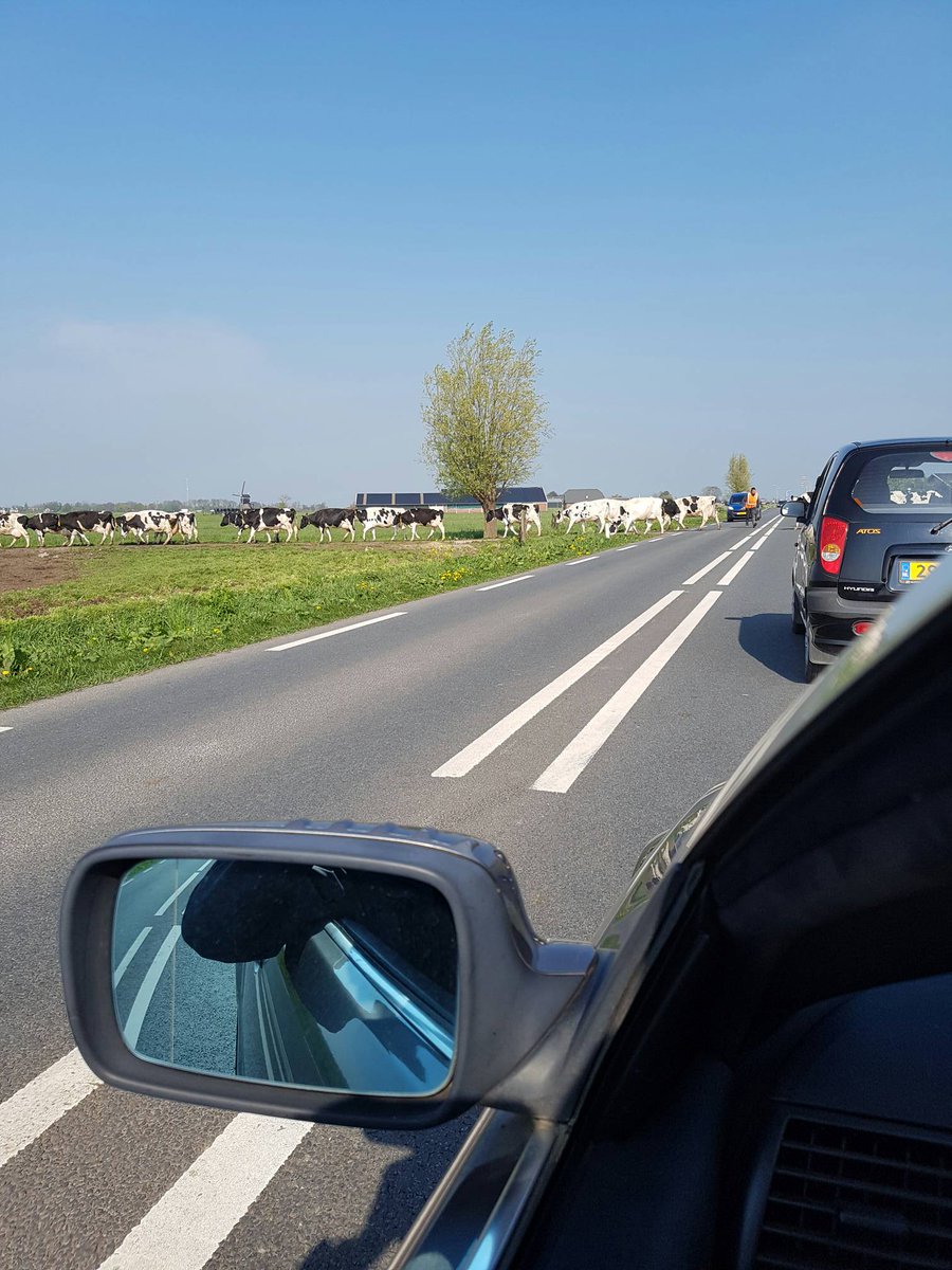 STACOMSystem's tweet photo. Overstekend wild.... https://t.co/GuQp84a3qv