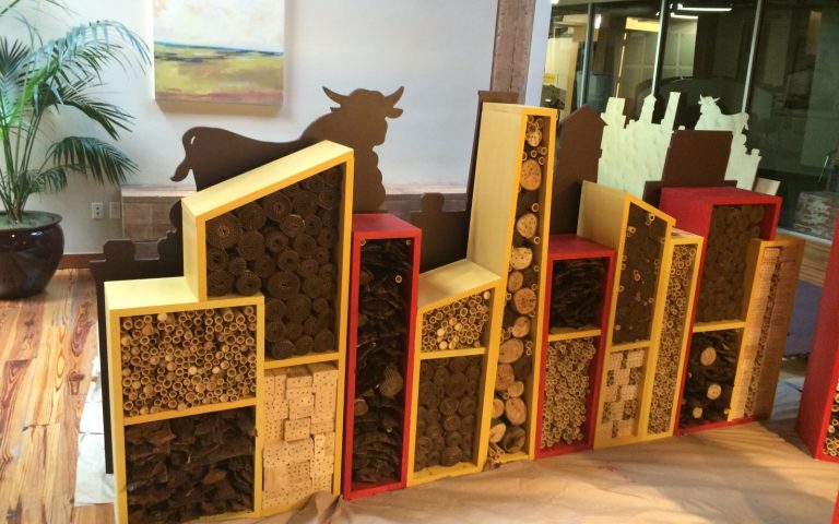DCPDurham's tweet photo. Wondering why we want to #bringbackthebees? They pollinate the plants and flowers we use for food, fiber, and oils. @BurtsBees @BeeDowntown https://t.co/ni2mCoiLx0