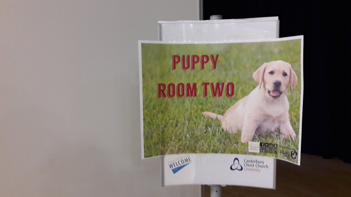 christchurchsu's tweet photo. Getting ready for tomorrow's puppy day #StressLess!See you at 10:30am in AH Library. Find out more at https://t.co/bj3RDKRFk7 https://t.co/8cUCs7Dbtb