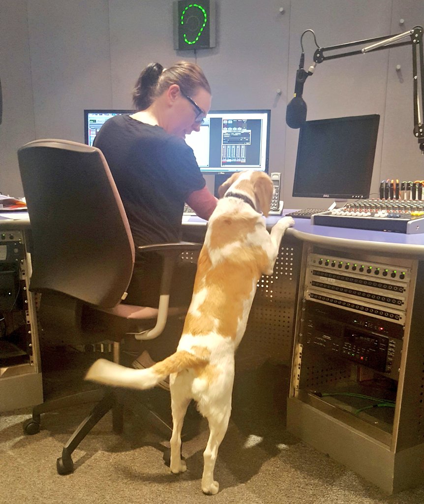 rachmotormouth's tweet image. Working with a VIP voiceover in the @TFMradio creative studio today, a little more gravitas Daisy if you don't mind! #neveradullmoment 🐶🎤