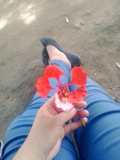SoAmanda_2's tweet photo. Diferentona https://t.co/xpVUz7iZKP