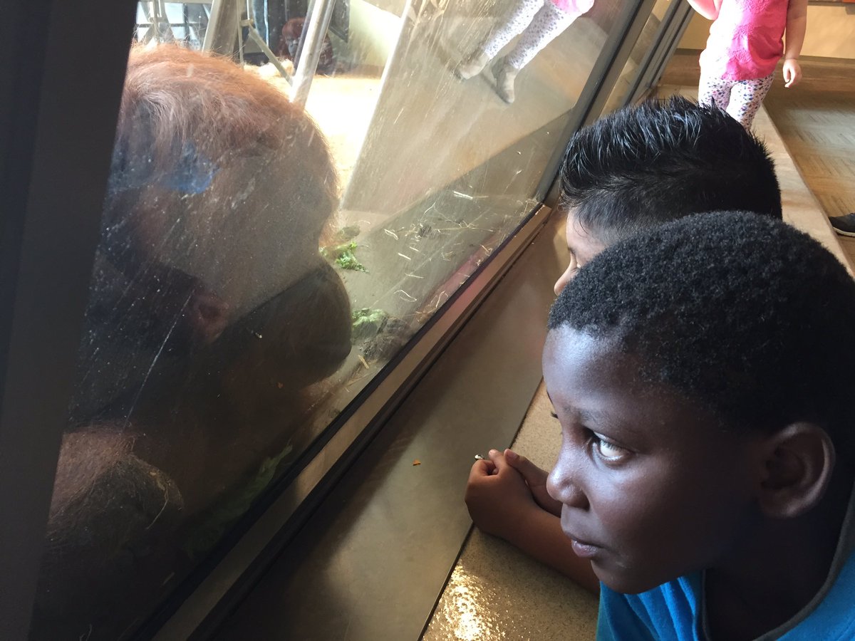 DainCooper's tweet photo. First Graders at the Indy Zoo!  #IC1617 https://t.co/gpF8UdpbxE