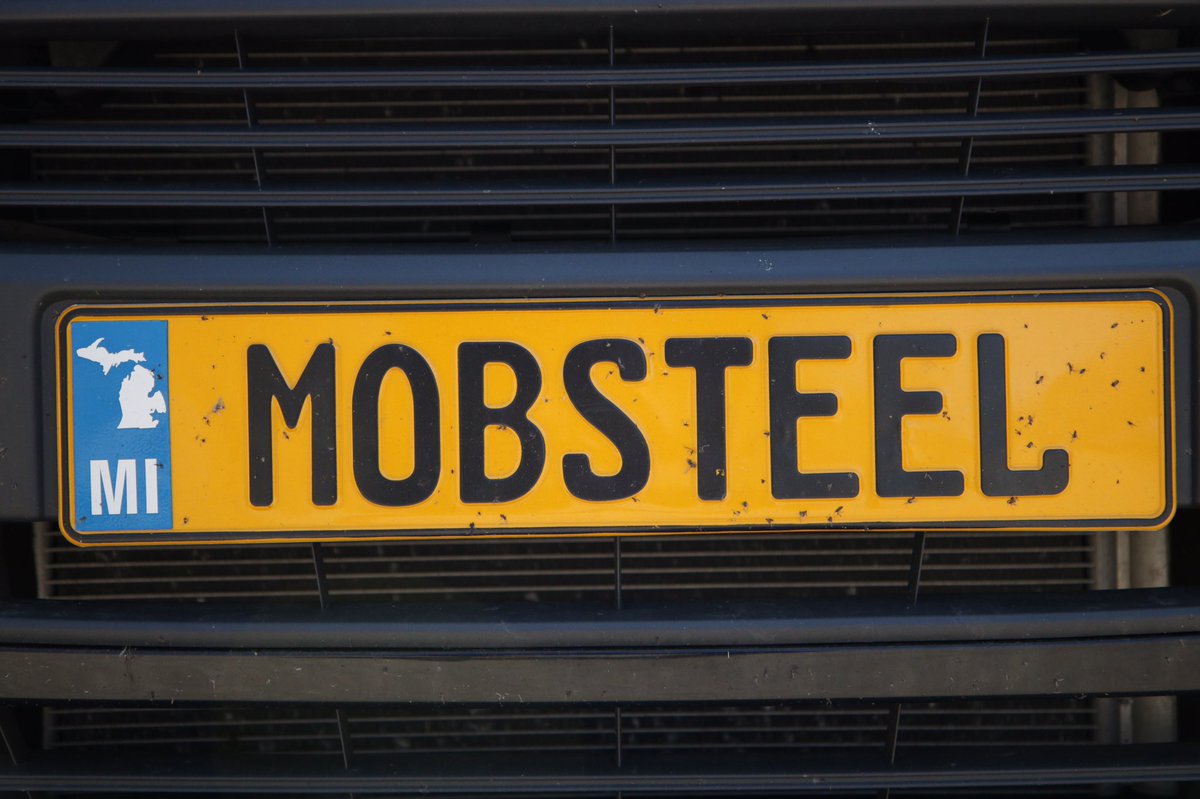 mobsteel's tweet photo. Aaaaand the bugs are back #mobsteel #BugGuts #SpringFever https://t.co/8oTVbCknB0
