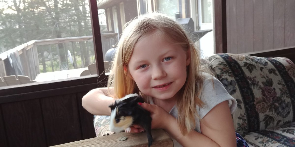 Clonek's tweet photo. @Katapult Two weeks ago I got Abbey a guinea pig. It's still alive! https://t.co/WBy4EJZEjU