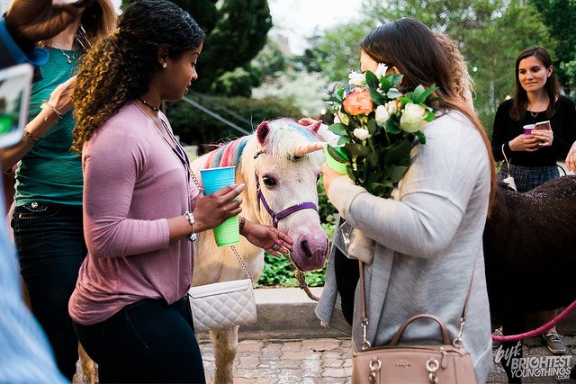 BYT's tweet photo. We spent yesterday hanging out with REAL LIVE unicorns (and drinking free whiskey) https://t.co/BhZLHCLA1Q @LoganExchange https://t.co/23duHHWcjs