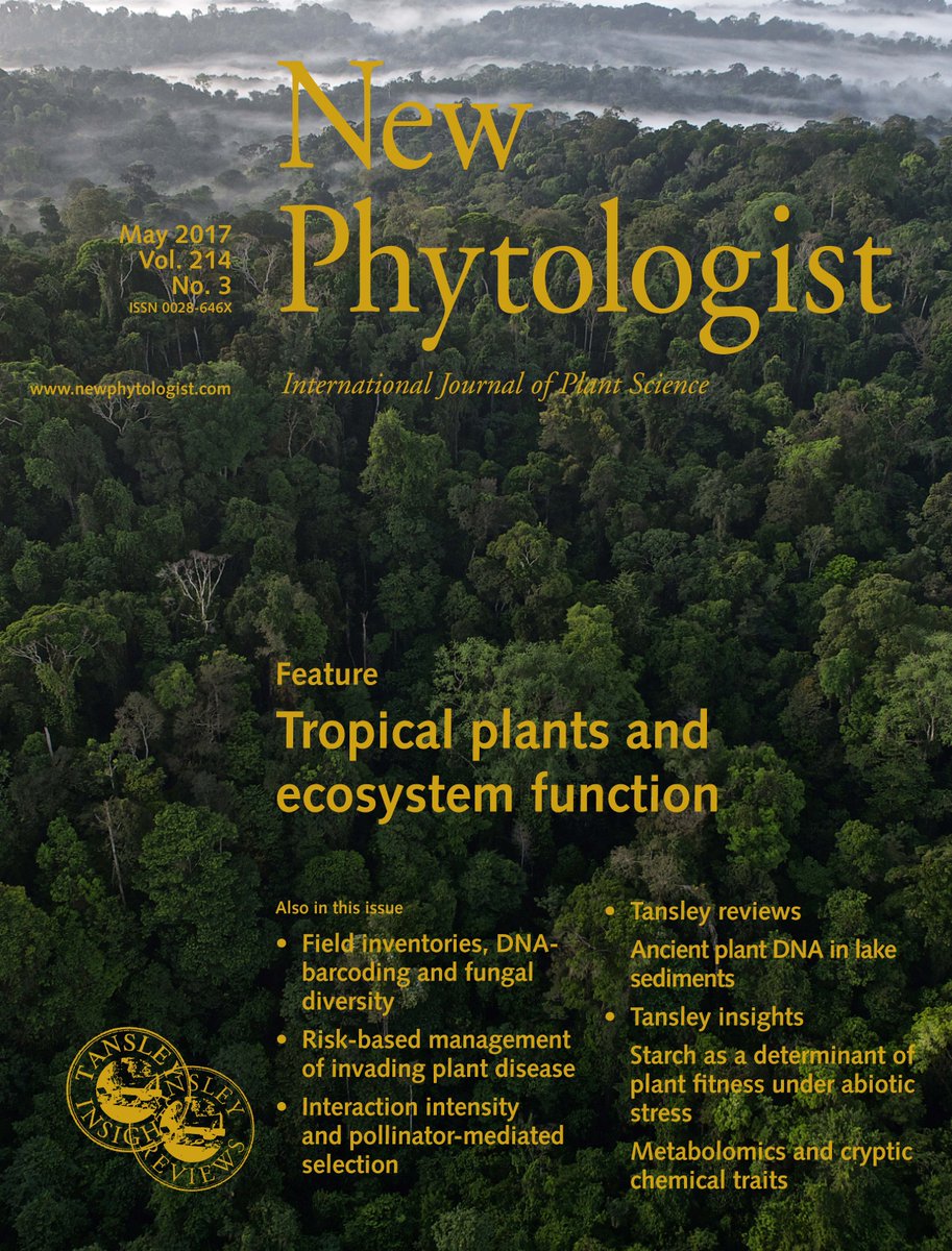 ebook The Molecule Metal