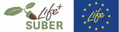 Ja podeu consultar la darrera #newsletter del #lifesuber, projecte europeu per adaptar #suredes al canvi climàtic: forestal.cat/web/?n=883