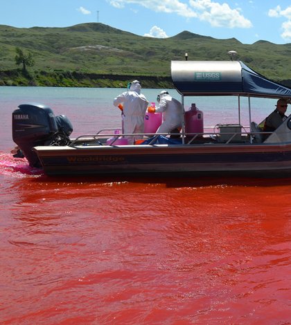 FondriestEnv's tweet photo. Tracing rhodamine dye & larvae movement, @USGS scientists look to understand low sturgeon numbers in Missouri River https://t.co/Ox1eaZBgQr https://t.co/xTBuGMgk2H