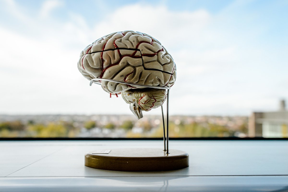 AlzheimersBRACE's tweet photo. New dementia drug hope https://t.co/lEPmrRWXPB https://t.co/8L5u9GWbL4
