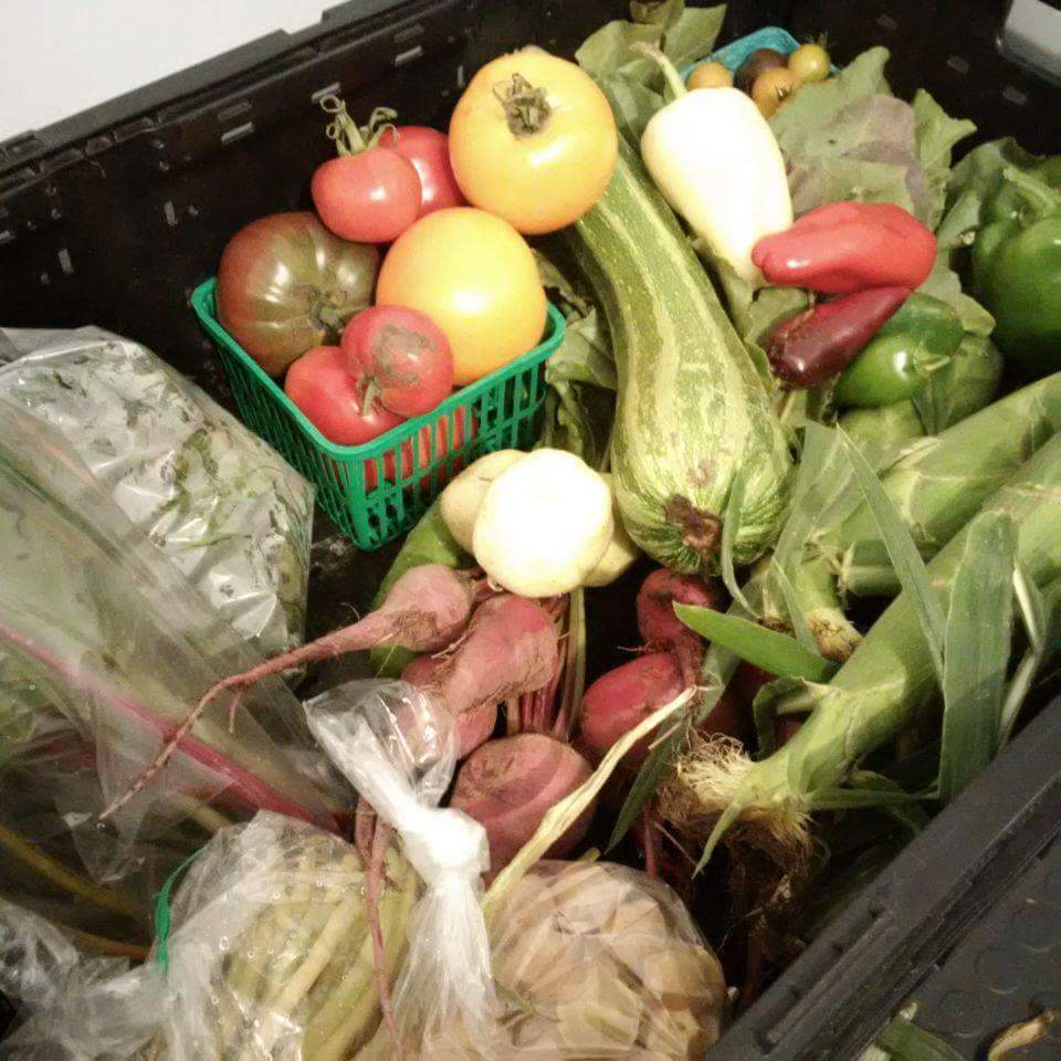 Time to order your CSA/weekly veggie baskets- full details at edibleacres.net. #supportlocal #farmersmarket