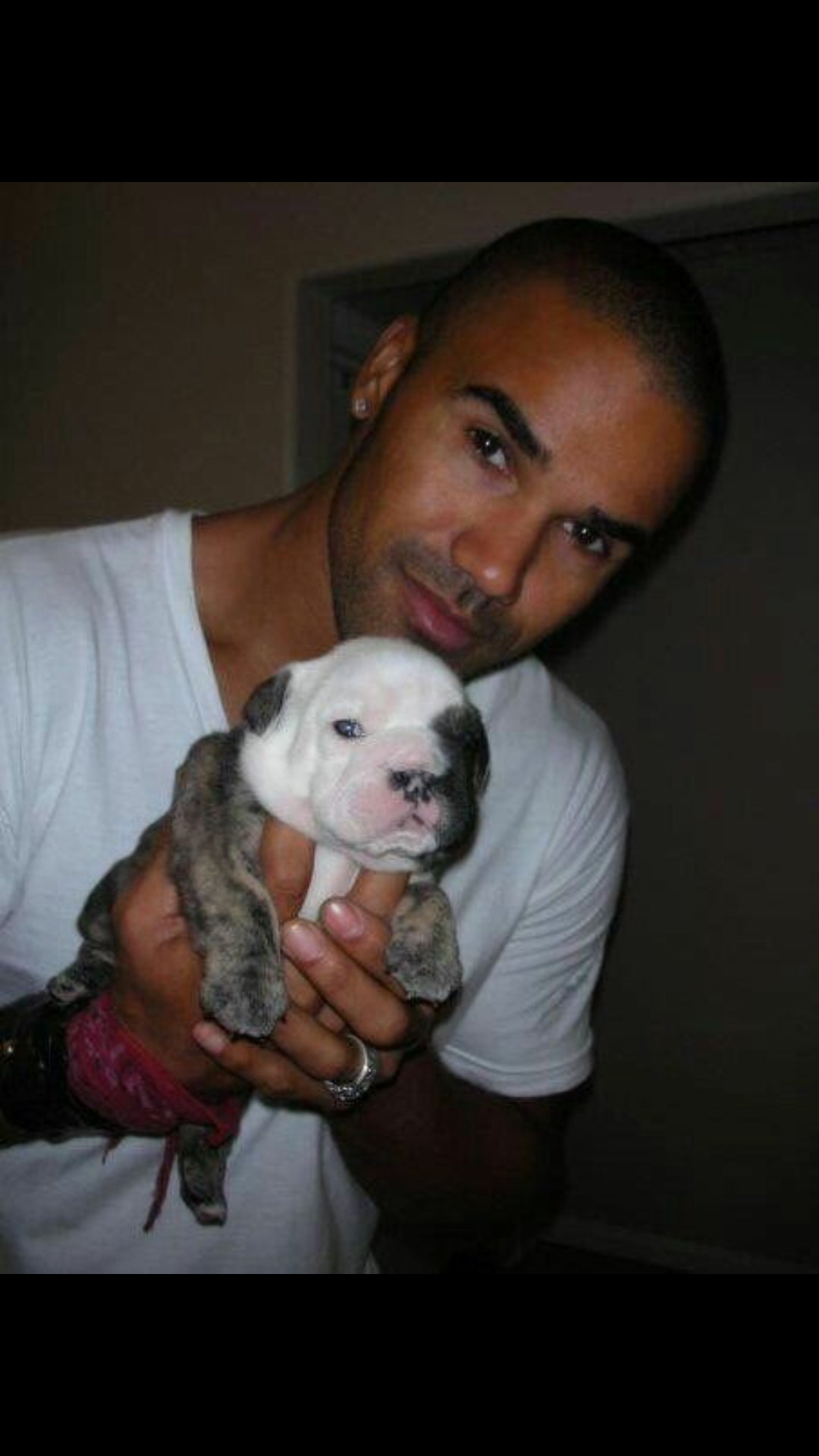Happy birthday Shemar Moore. The most hottest and gorgeous man in the world.... 