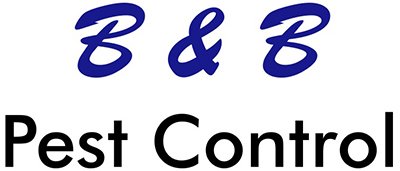 BbpestMa's tweet photo. Pests are gross STOP them now with B&B Pest Control!https://t.co/chdvZrVeSs #boston #pestcontrol #termites #bedbugs #mapest #pests https://t.co/4IapzwlmL9