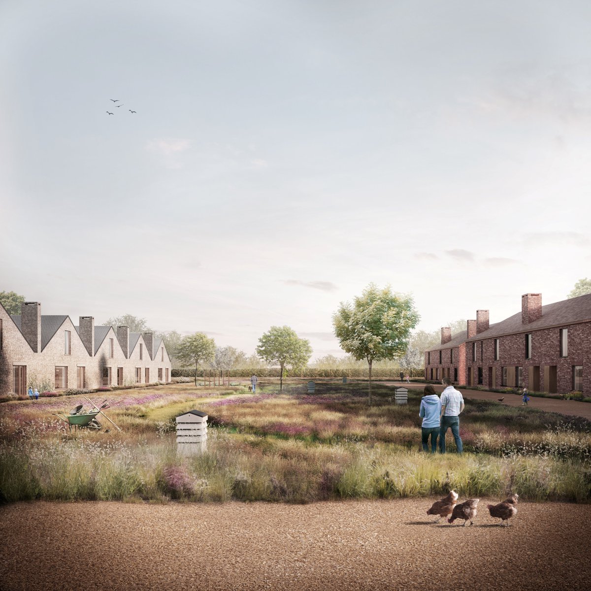 arkleboyce's tweet photo. Concept Almshouse development with #VillageFoundations. Thank you @Troyhodgson @Darcstudiouk #community #green @waitey @RIBAYorkshire @RIBA https://t.co/2zXpk7tS2D