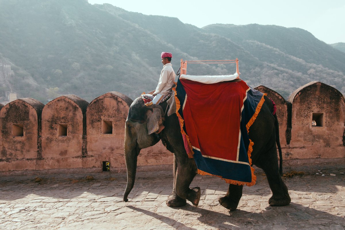 iamBrandonBlue's tweet photo. India Photos https://t.co/XbuWoRe721