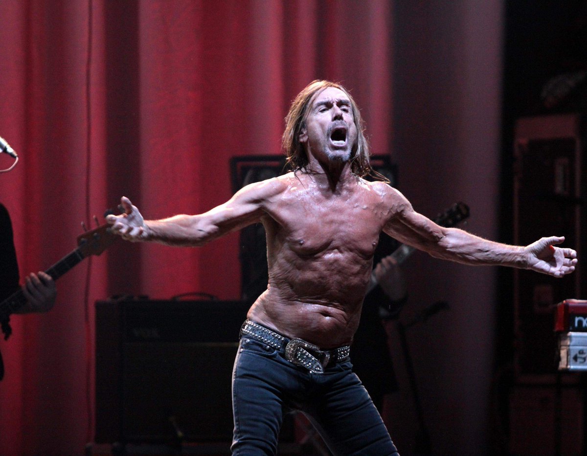   OGGI L\IGUANA DEL ROCK COMPIE 70 ANNI!  HAPPY BIRTHDAY IGGY POP 