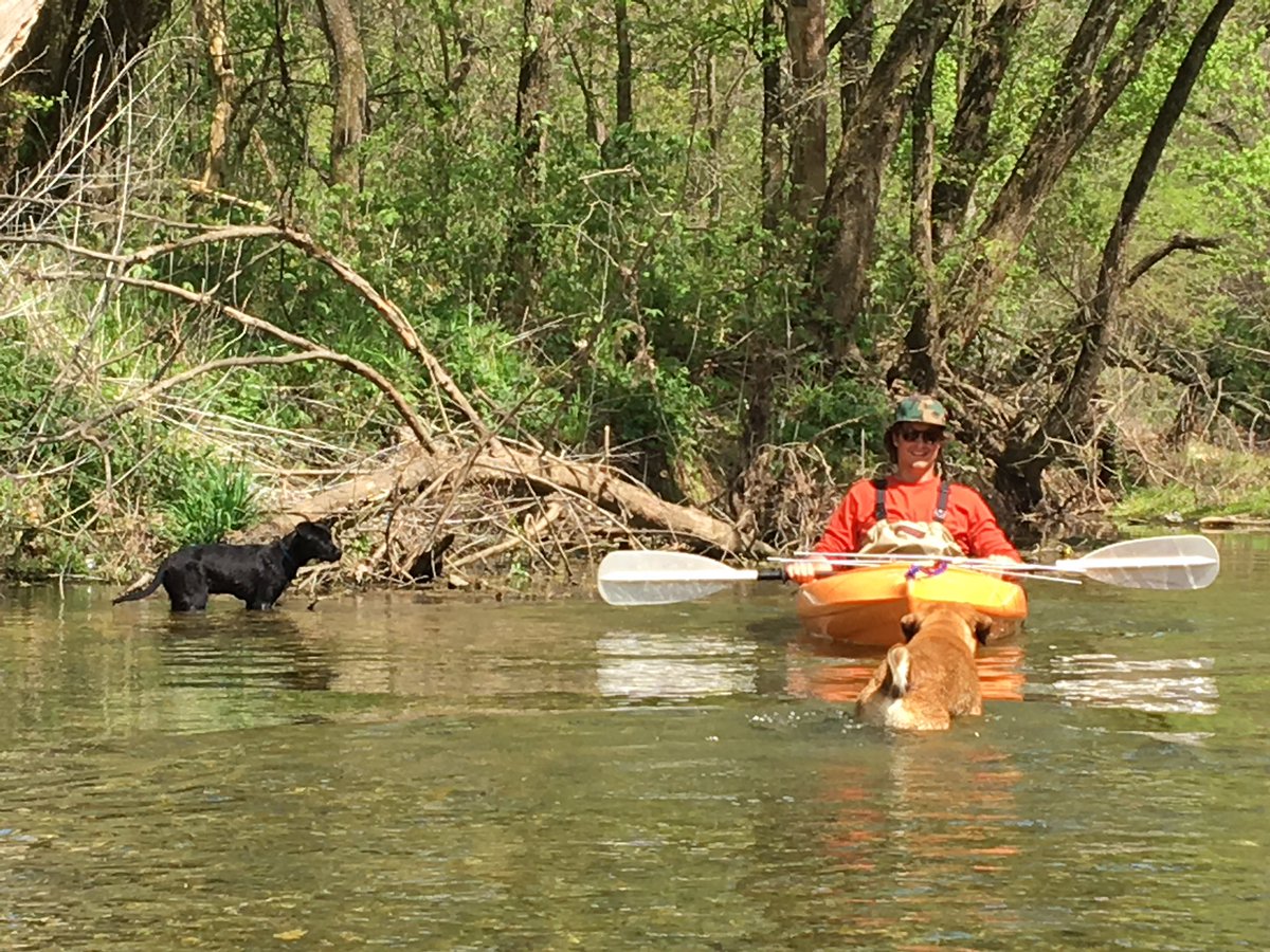 Brewer Lab tweet media