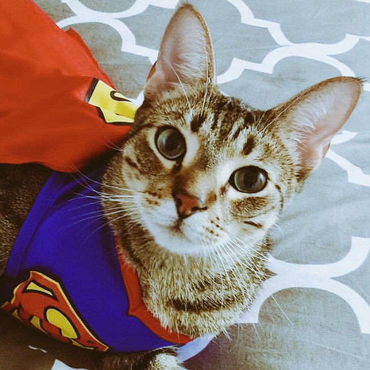 GoHectorV's tweet image. 🎼DES 🎶 PA 🎶 CHEE 🎶 TOH 🎵
🔂😂