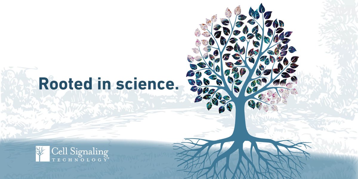 CellSignal's tweet photo. Visit CST booth 1013 at #expbio to learn more about CST #Antibodies. #rootedinscience #abvalidate https://t.co/1nOVpjnJ3j