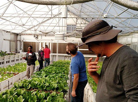 "2018 Farm Bill is enormous opportunity for urban agriculture"
urbanagnews.com/blog/2018-farm…