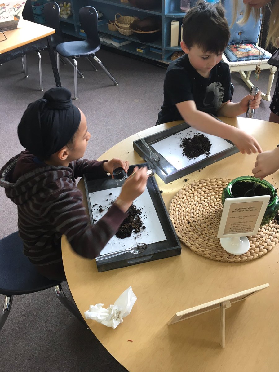 Sullivan Elementary tweet media