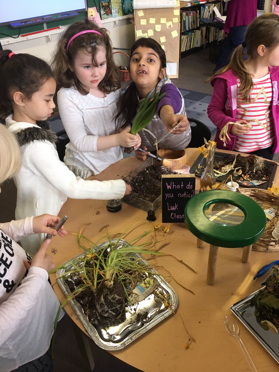 Sullivan Elementary (SullivanElearns) Twitter